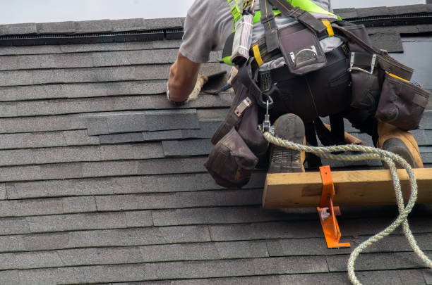 Best Roof Gutter Cleaning  in Merryville, LA