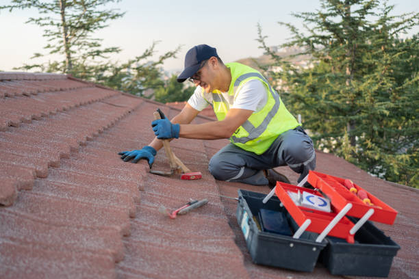 Best Roof Gutter Cleaning  in Merryville, LA